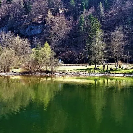 Haus Bellevue Apartament