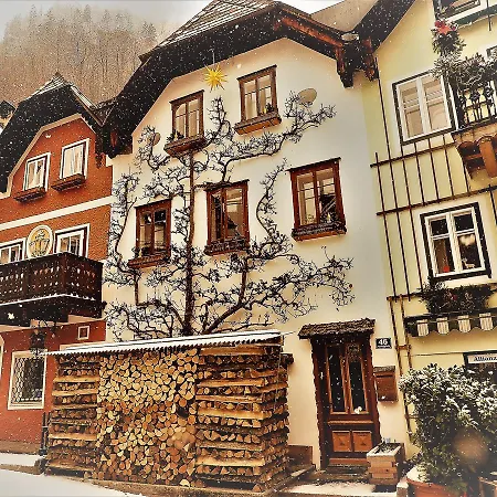 Haus Bellevue Lejlighed