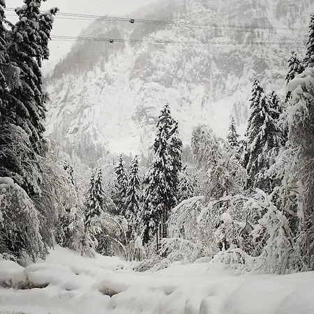 Haus Bellevue Apartament *