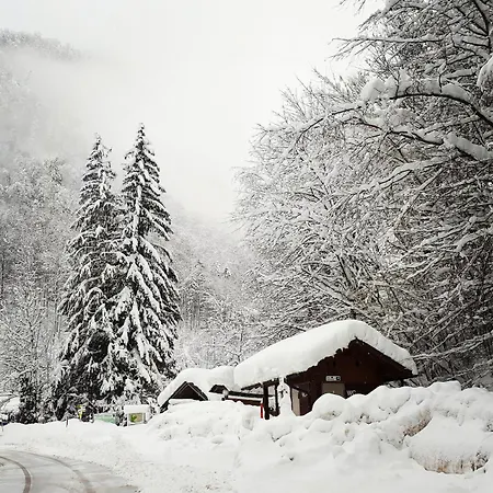 Haus Bellevue * Obertraun