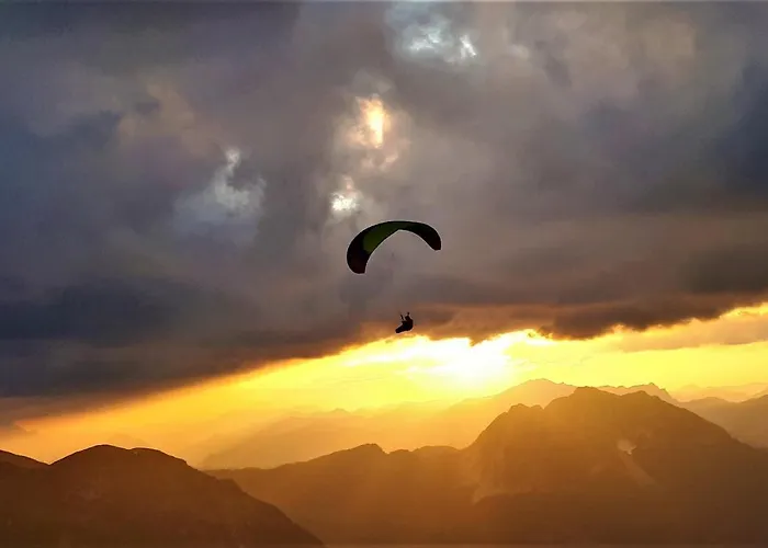 贝尔维尤豪斯酒店 上特劳恩