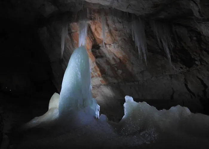 贝尔维尤豪斯酒店 公寓 上特劳恩