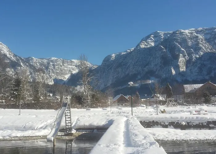 贝尔维尤豪斯酒店 *