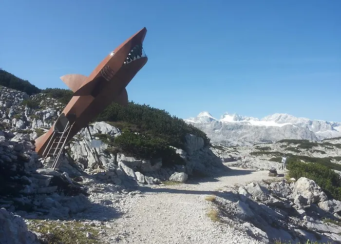 贝尔维尤豪斯酒店 *