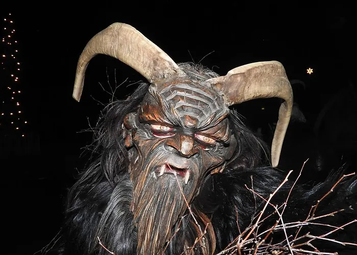 贝尔维尤豪斯酒店 *