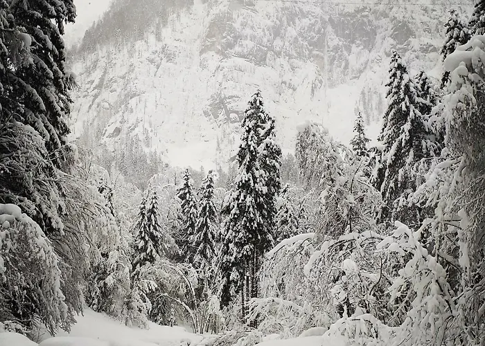 Haus Bellevue Daire *