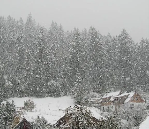 Haus Bellevue Obertraun