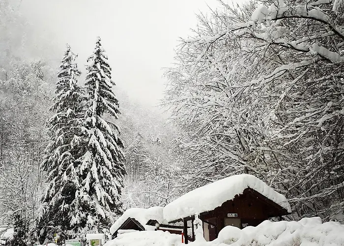 Haus Bellevue * Obertraun